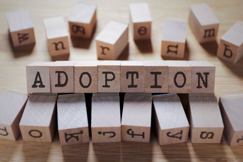 Which adoption agency is right for me?